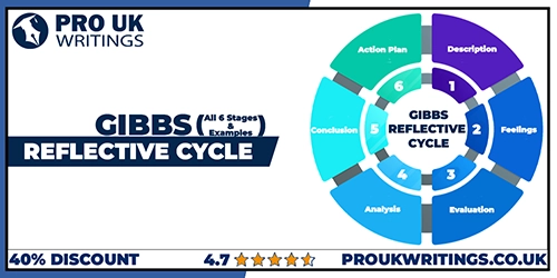 gibbs-reflective-cycle